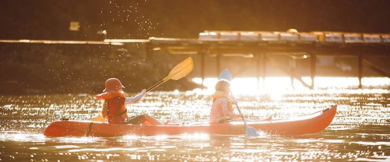 Curious Cove1 768x320