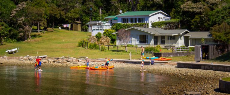 Curious Cove2 768x320