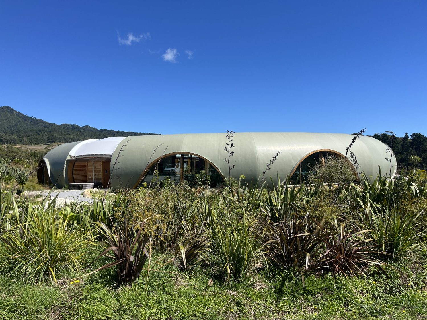 Green Camp1 1500x1125