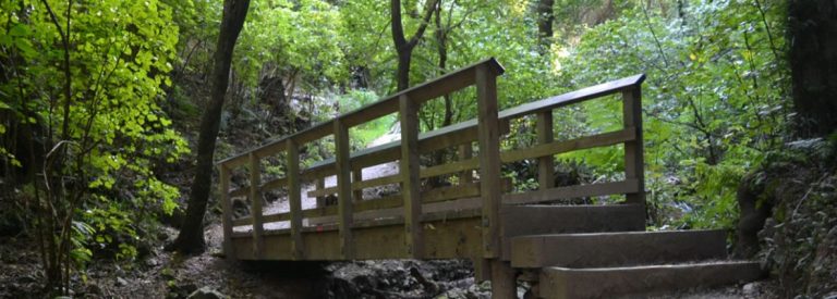 camp elsdon 3 768x275