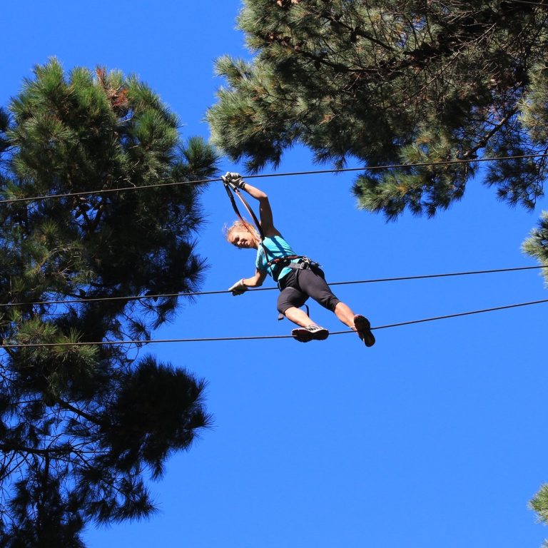 Adrenalin Forest Auckland 768x768