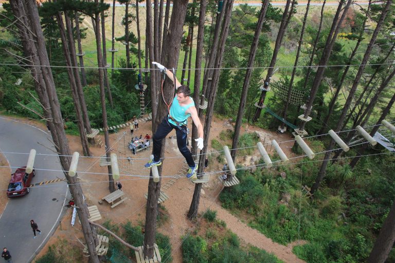 Adrenalin Forest chch 768x512
