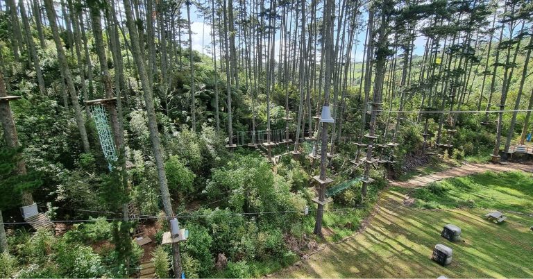 Adrenalin Forest wellington 768x402