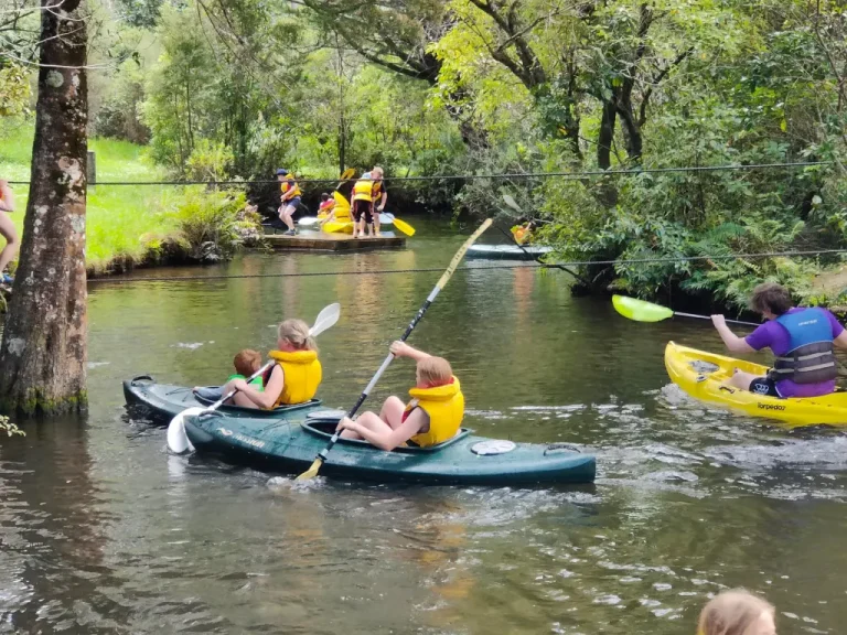 Brookfield OEC 1 768x576