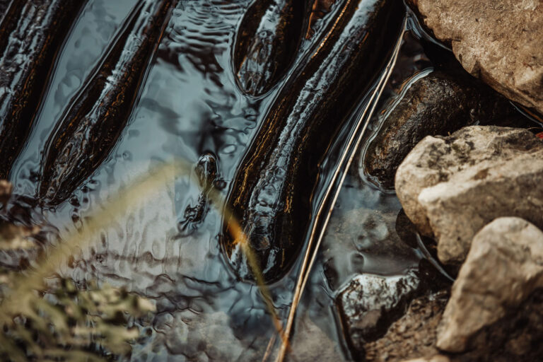 ChoolGroupCampAreteFeb2025 16 768x512