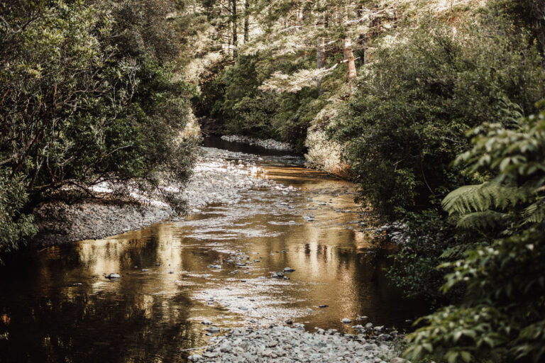 ChoolGroupCampAreteFeb2025 19 768x512