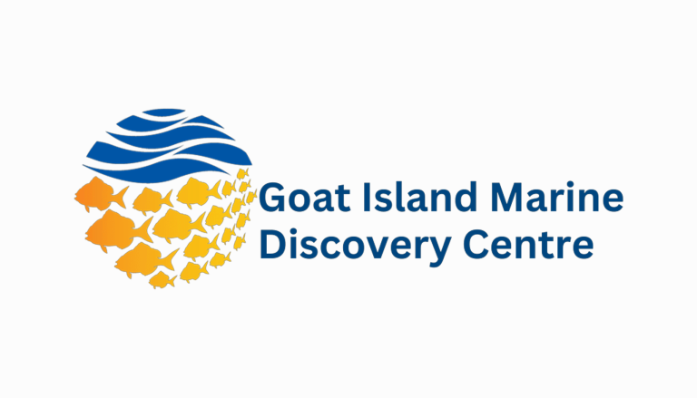 Goat Island 768x439