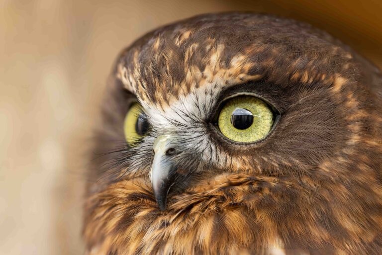 MG 7709E Copy 768x513