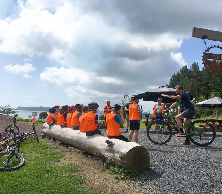 Paihia Mountain Bikes 2 768x674
