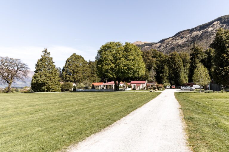 Paradise Trust 2 768x512