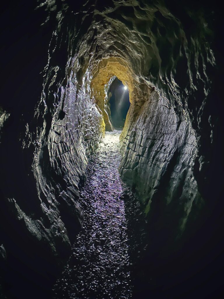 Ruakuri Bush Walk May 24 768x1024
