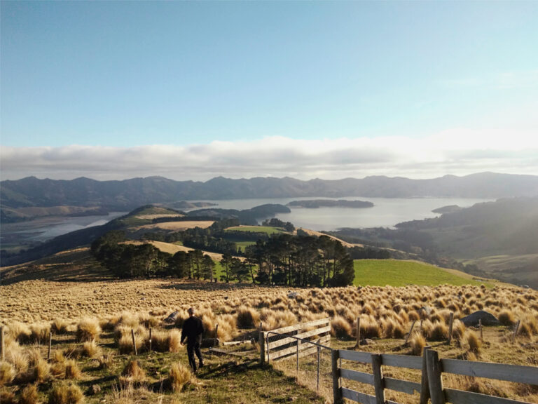 orton bradley park farm 768x576