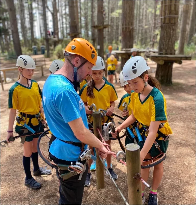 Tree Adventures 2 768x804