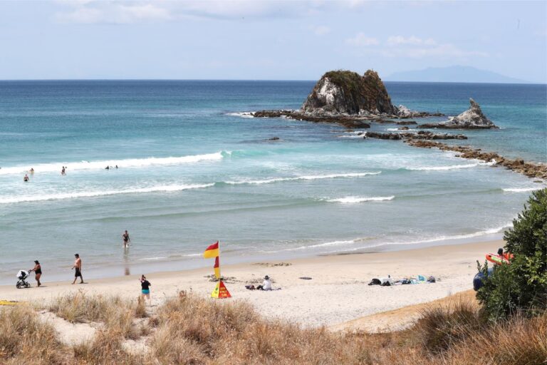 aotearoa surf lodge mangawhai hire rent lesson beach NEW 768x512